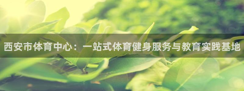 yy易游官方正版app娱乐是那个系列的台子：西安市体育中心：