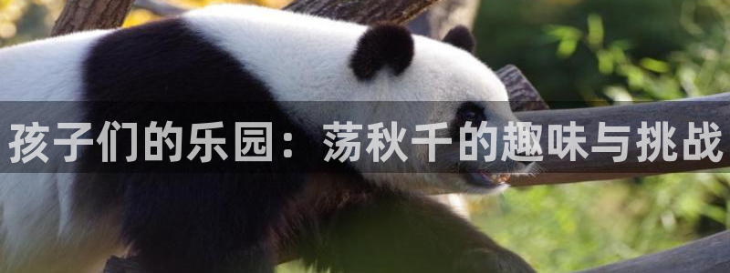 yy易游官网下载平台注册要钱吗：孩子们的乐园：荡秋千的趣味与