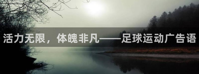yy易游官网下载是干嘛的公司：活力无限，体魄非凡——