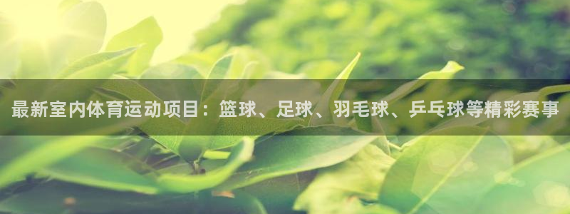 yy易游官网下载软件：最新室内体育运动项目：篮球、足