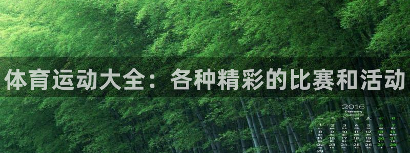 yy易游官方正版app五金厂：体育运动大全：各种精彩
