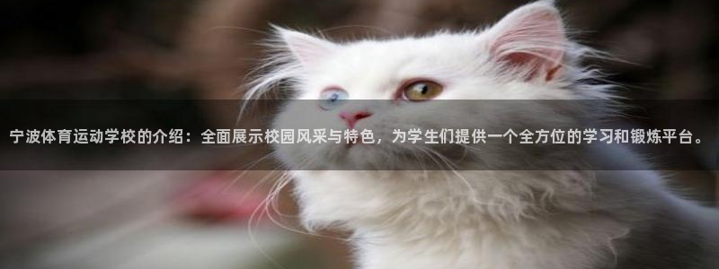 yy易游官网下载平台注册要钱吗：宁波体育运动学校的介绍：全面
