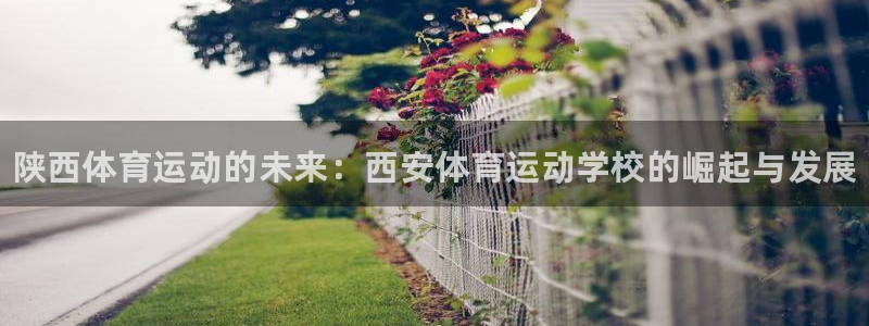 yy易游官方正版app娱乐网站：陕西体育运动的未来：
