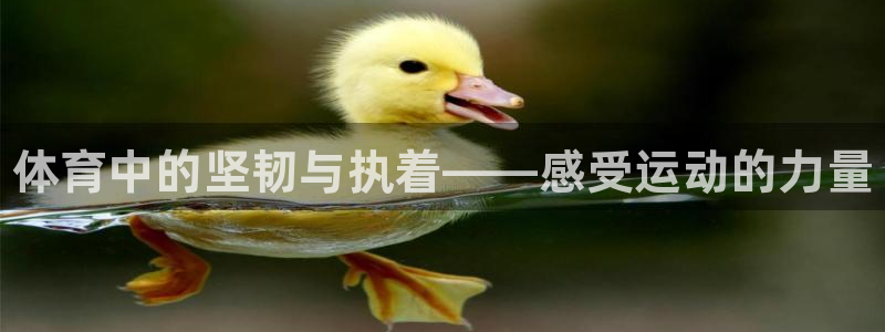 yy易游官网下载招商电话是多少号码：体育中的坚韧与执着——感
