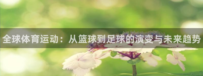 yy易游官方正版app集团logo：全球体育运动：从