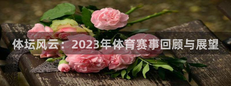 海南yy易游官网下载发展怎么样