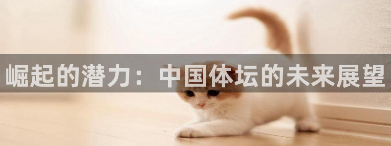 yy易游官网下载招商电话号码