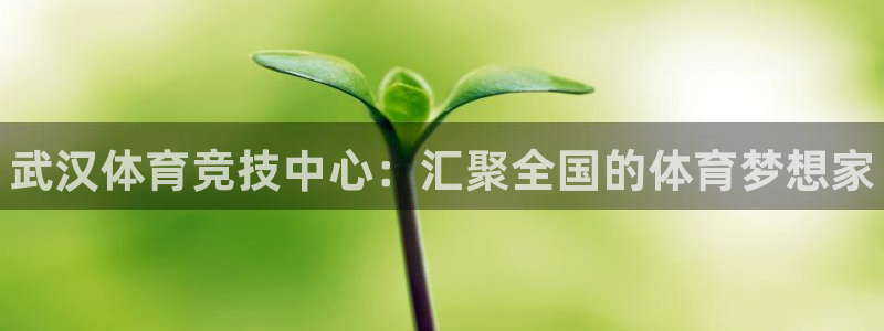 海南yy易游官网下载发展怎么样