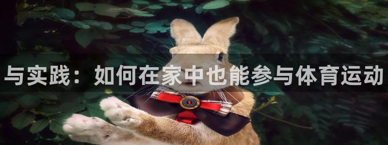 yy易游官方正版app娱乐：与实践：如何在家中也能参与体育运