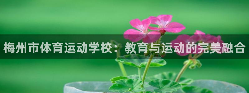 yy易游官网下载平台注册要钱吗：梅州市体育运动学校：