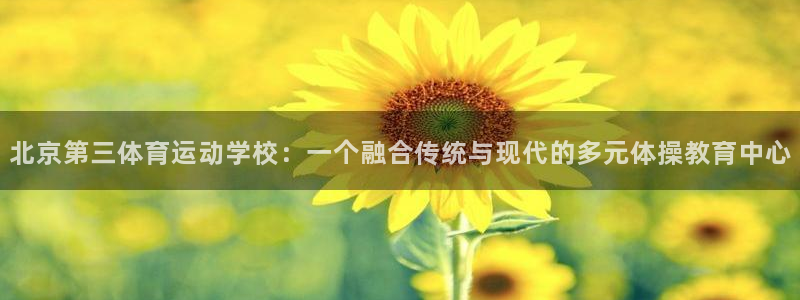 yy易游官方正版app科技：北京第三体育运动学校：一