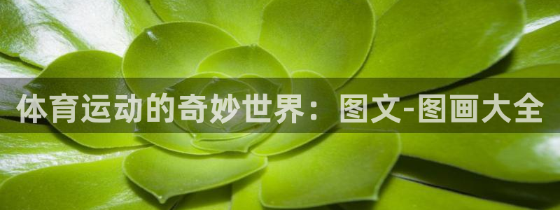 yy易游官方正版app集团：体育运动的奇妙世界：图文-图画大