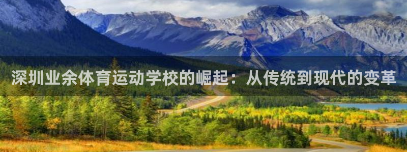 yy易游官方正版app神州