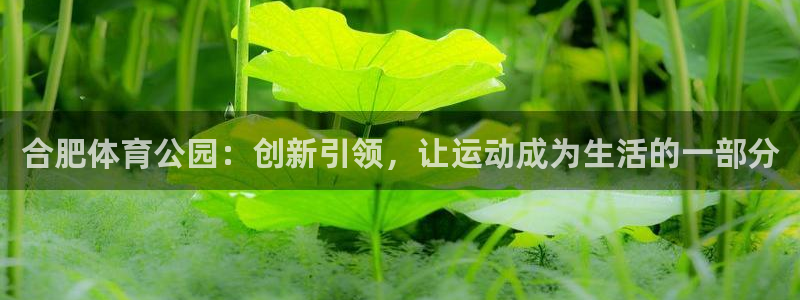 yy易游官网下载招商