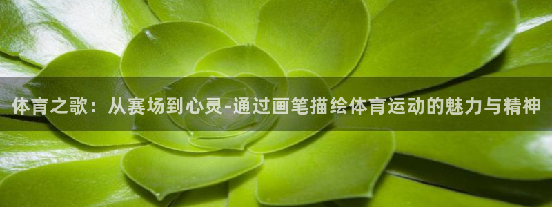 yy易游官方正版app娱乐首页官网下载：体育之歌：从赛场到心