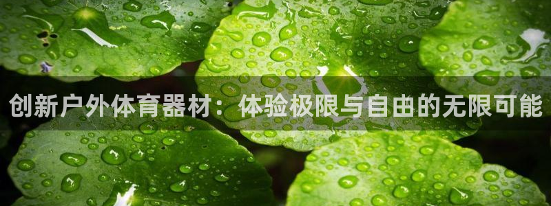 yy易游官网下载平台注册要钱吗安全吗：创新户外体育器材：体验
