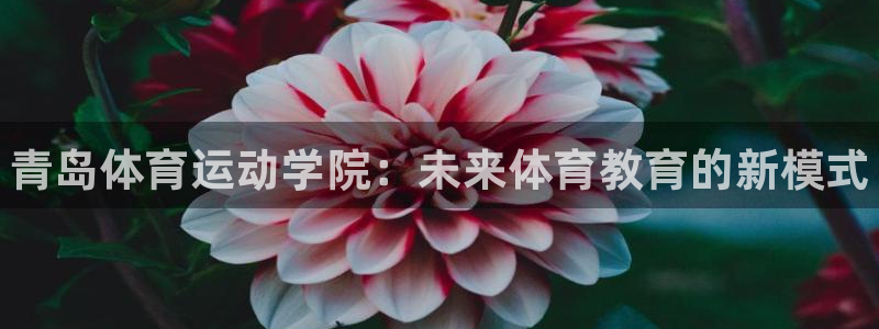 yy易游官网下载平台是正规平台吗知乎：青岛体育运动学院：未来