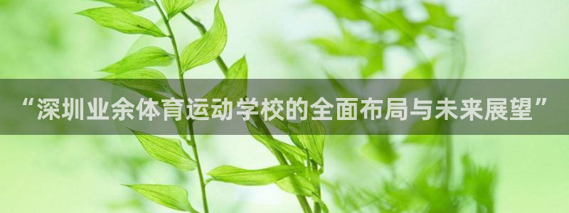 yy易游官网下载招商：“深圳业余体育运动学校的全面布局与未来