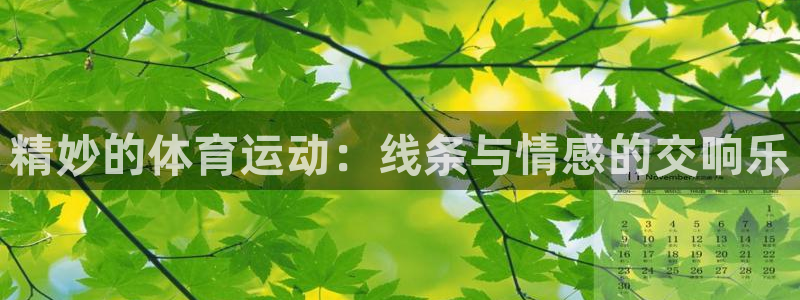 yy易游官网下载招商电话是多少：精妙的体育运动：线条与情感的