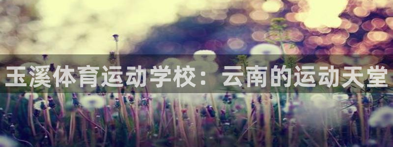 yy易游官方正版app集团官网首页：玉溪体育运动学校：云南的