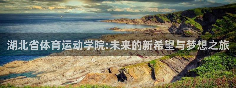 yy易游官网下载平台：湖北省体育运动学院:未来的新希望与梦想