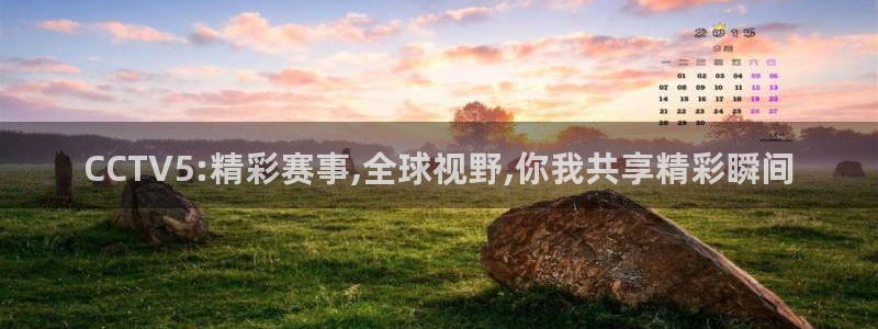 9255tv直播nba在线观看：CCTV5:精彩赛事,全球视野,你我共享精彩瞬间